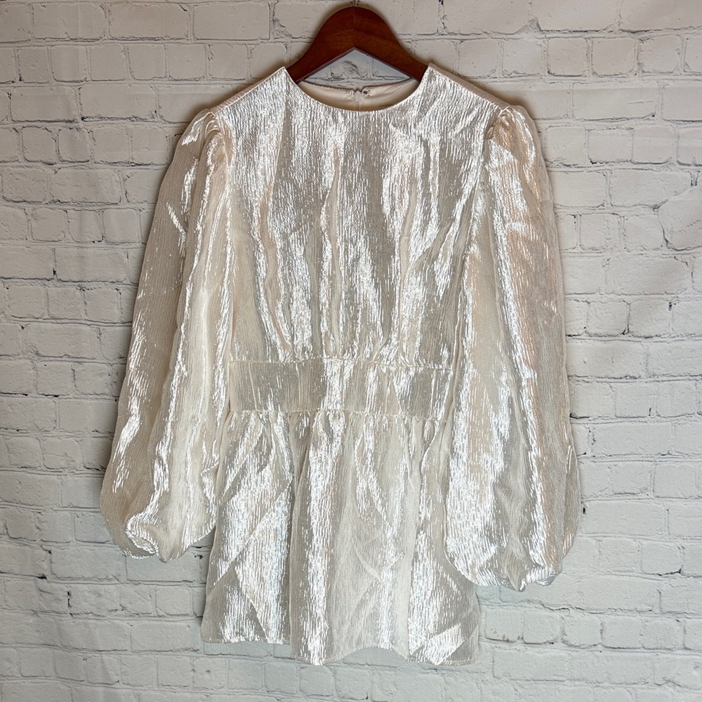 Veiled Shimmering White Long Sleeve Blouse Size 4 NWT